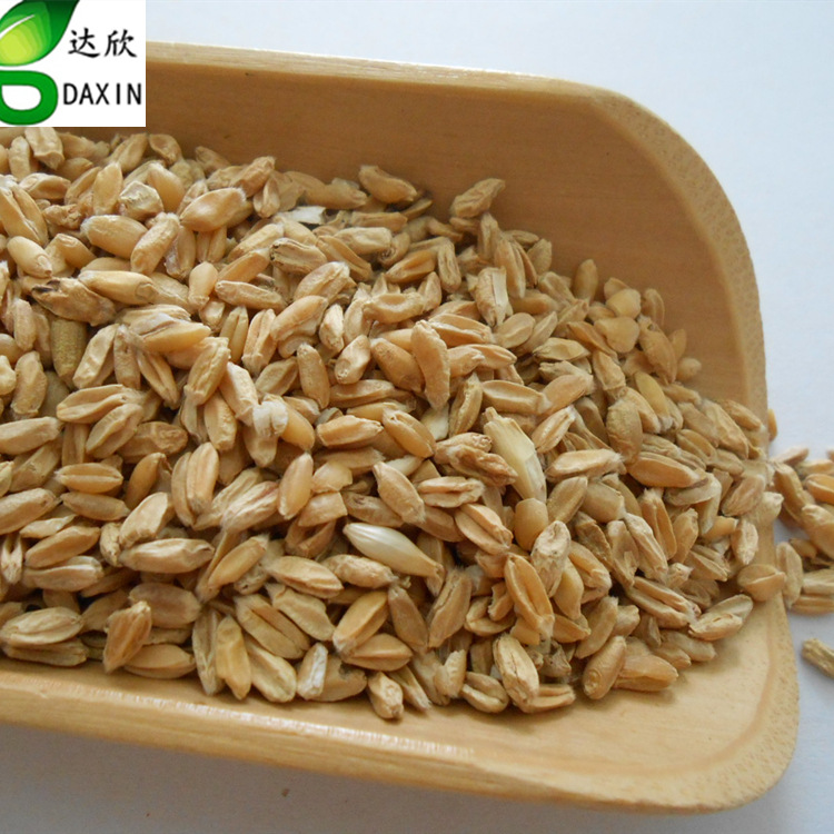 浮小麦 新货农副产品初加工中药材原材料 浮麦