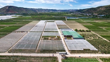 静宁:三产交融乡村振兴底色足 县域经济发展有“钱”景